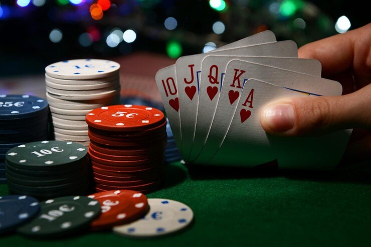 Buffalo King live dealer table on nusa211 mobile app